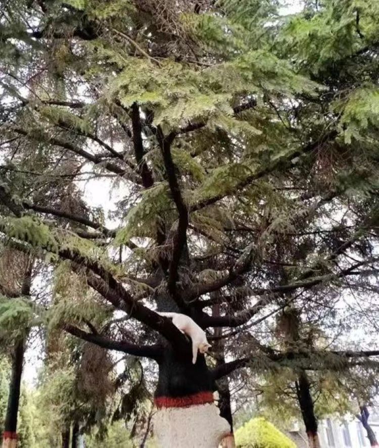 微信图片_20230505224127.jpg 微信图片_20230505224127.jpg