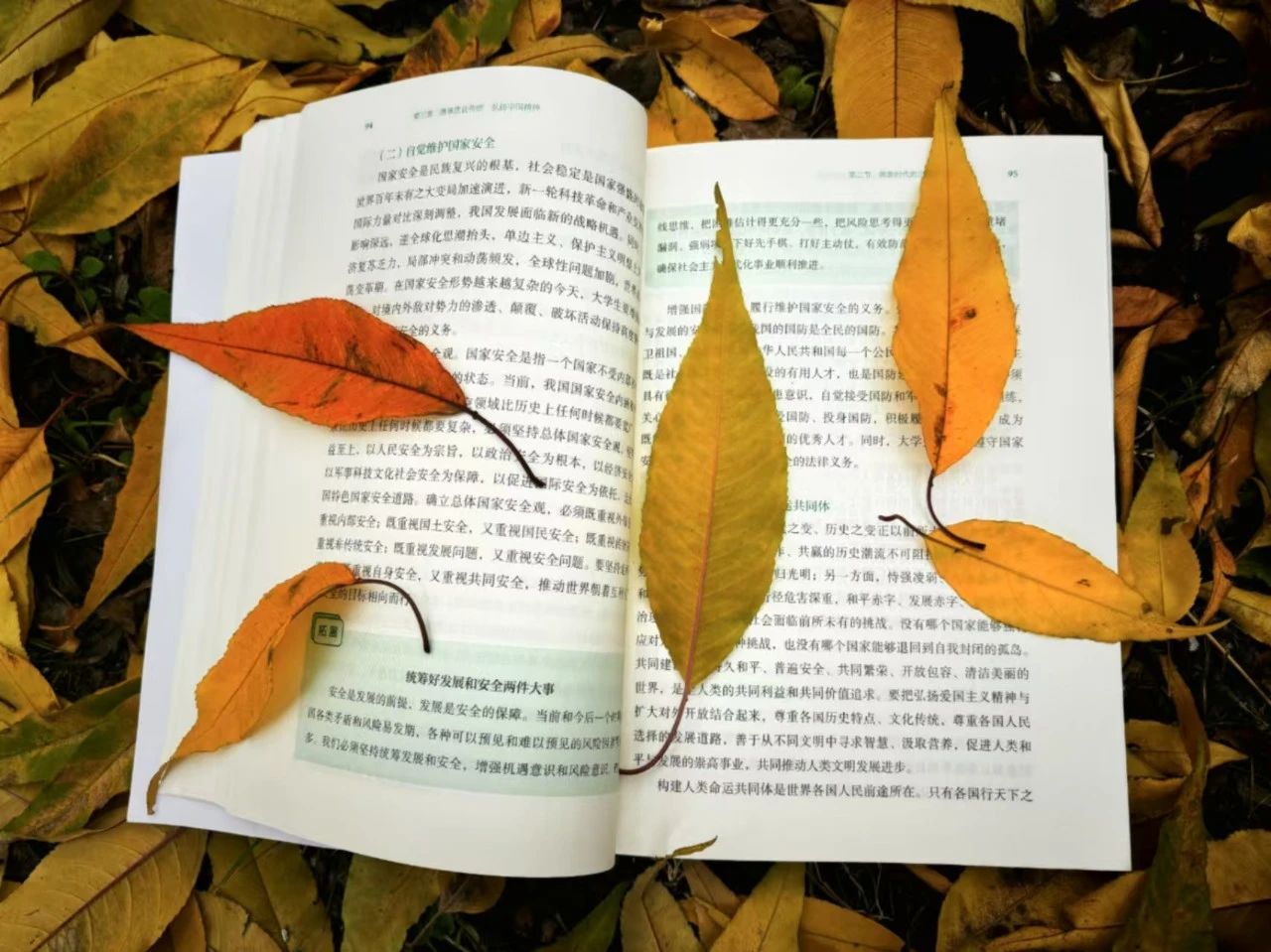 微信图片_20241123133531.jpg 微信图片_20241123133531.jpg
